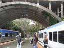 Puffing Billy: Belgrave