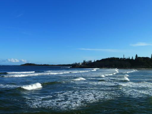 P1000977