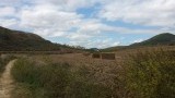 Ciauqui in de verte
