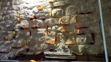 wensen in de  muur