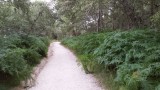 steil en groen