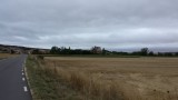 uitzicht onderweg