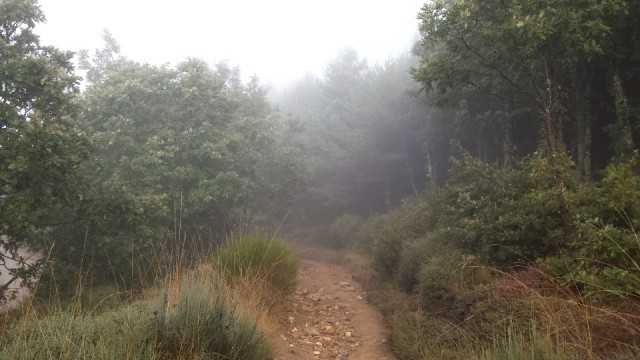uitzicht onderweg 4