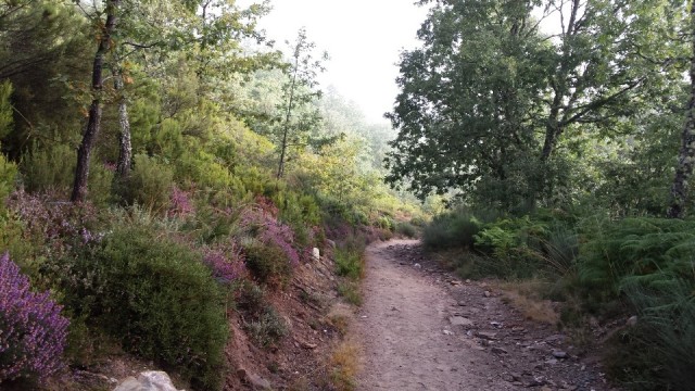 uitzicht onderweg 5