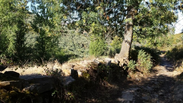 onderweg 2