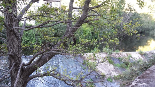 onderweg langs de rivier