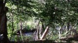 onderweg langs de rivier 2