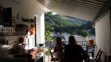 uitzicht vanuit de keuken