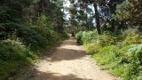 onderweg 4