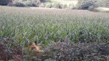 onderweg 2