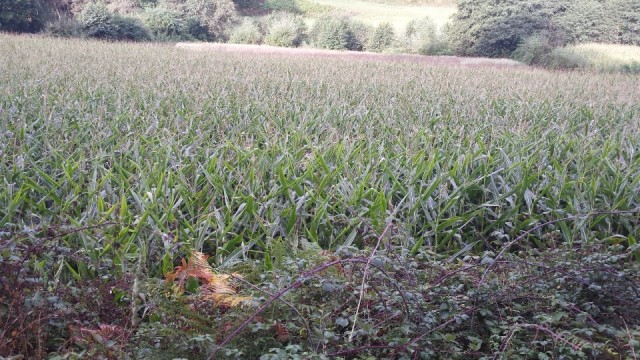 onderweg 2