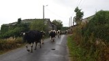 dorp onderweg