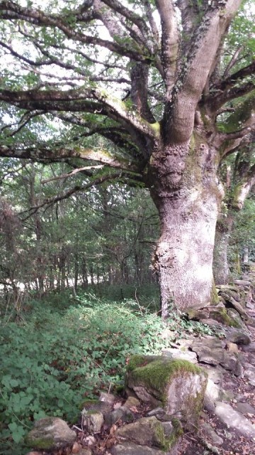 onderweg 7