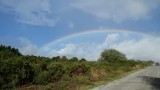 regenboog