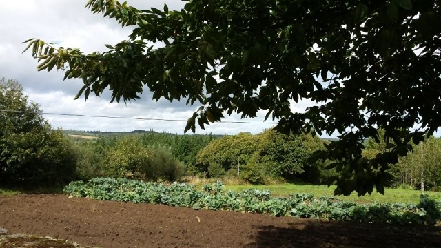 onderweg 10