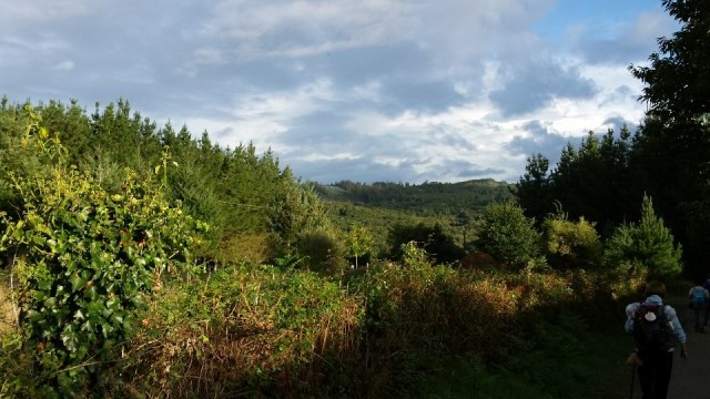 onderweg 3