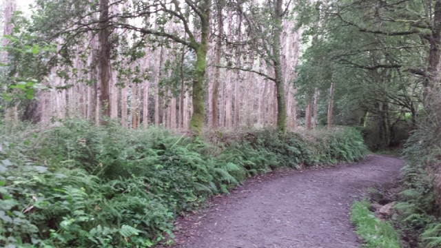onderweg 5