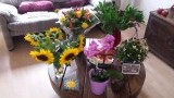Huis vol bloemen! Welkom thuis....
