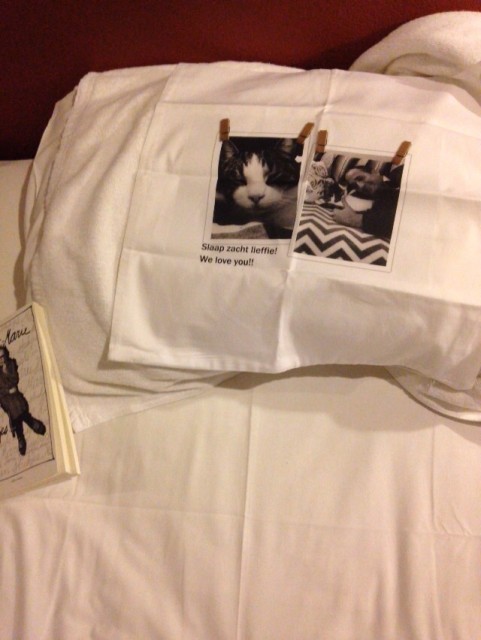 Sleep well Wilma pillow