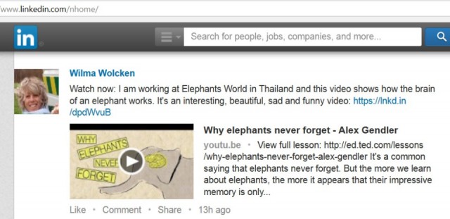 Wilma op LinkedIn