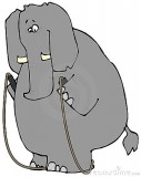 olifant-met-een-springtouw