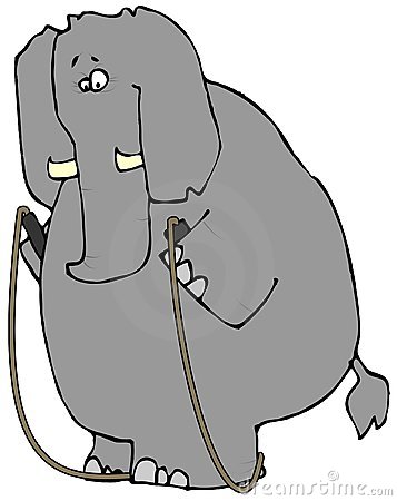 olifant-met-een-springtouw