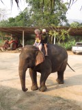 Jongens, meisjes aan de kant. Want daar komt een olifant....