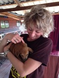 Twee lieffies