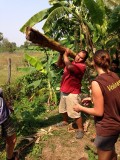 Tam - misschien wel de sterkste man van Thailand - met tandenstoker voor Jumbo