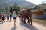 Wat kijk je raar? Is er wat?..... Je kijkt naar me alsof er een olifant achter me loopt....