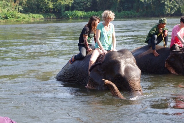 Tantor and Jane