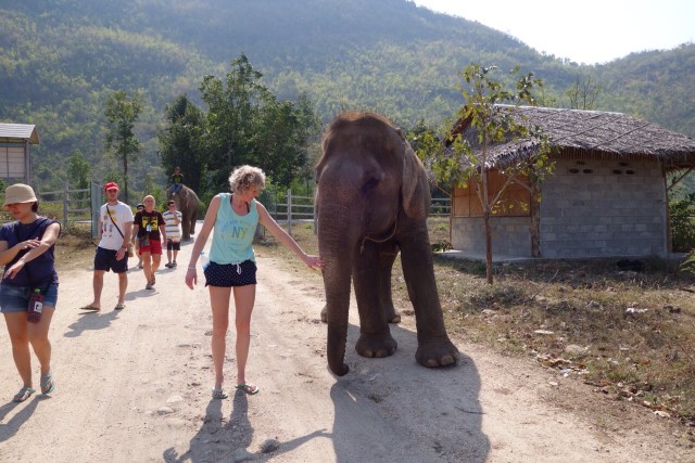Maar olifant, wat heb jij een grote neus
