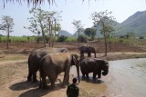 Trotse ouders