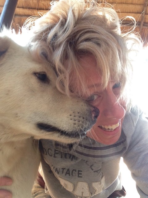 Vriendin voor (bijna) alle honden