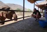 Big guy meets big guy