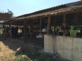 IMG_0662