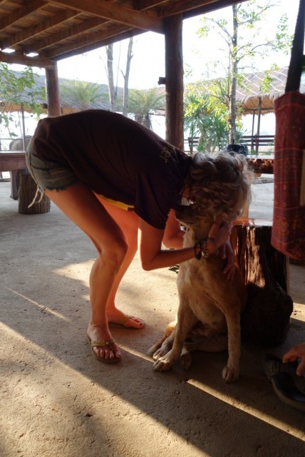'Tussentijdse knuffel' met Cody