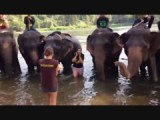 Must see!! "Lang-zal-ze-leven" serenade voor de jarige!