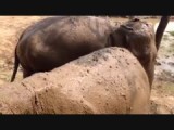 Optimaal genieten van een mud-rub