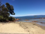Coles Bay