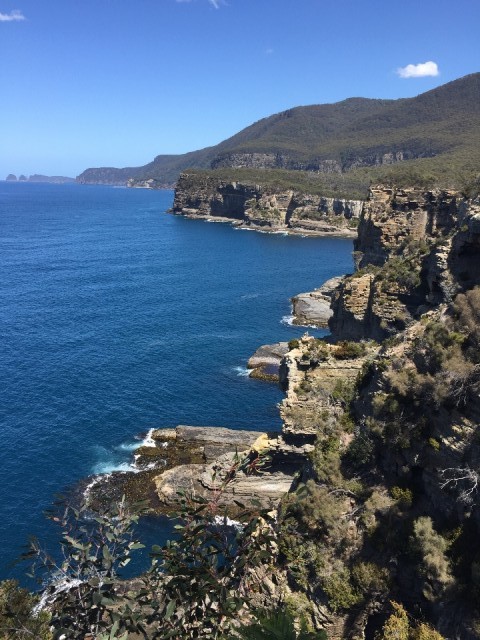 View along the coast
