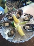 Heerlijke oesters