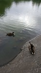20180724_174513