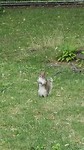 20180724_173721