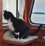 Nieuwsgierig