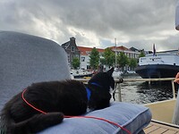 20220703_092757