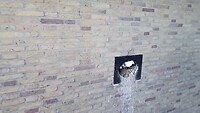 Verborgen duivenesten