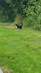 Mijn territorium