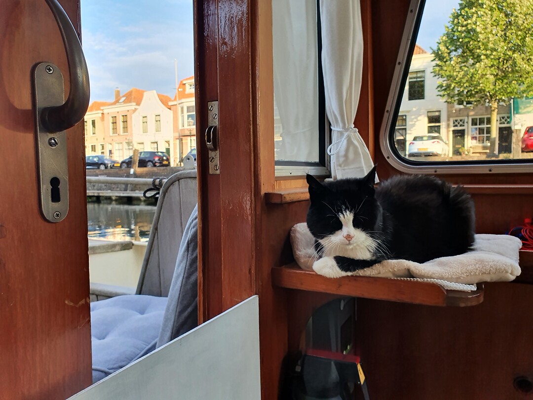Toch een frisse neus