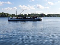 Kromhout